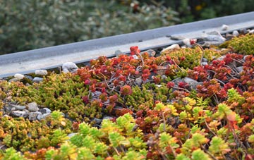 the cost of Bell O Th Hill green roof installation